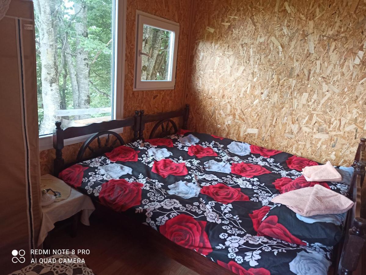 Katun Ljeljenak Ξενοδοχείο Plužine Εξωτερικό φωτογραφία