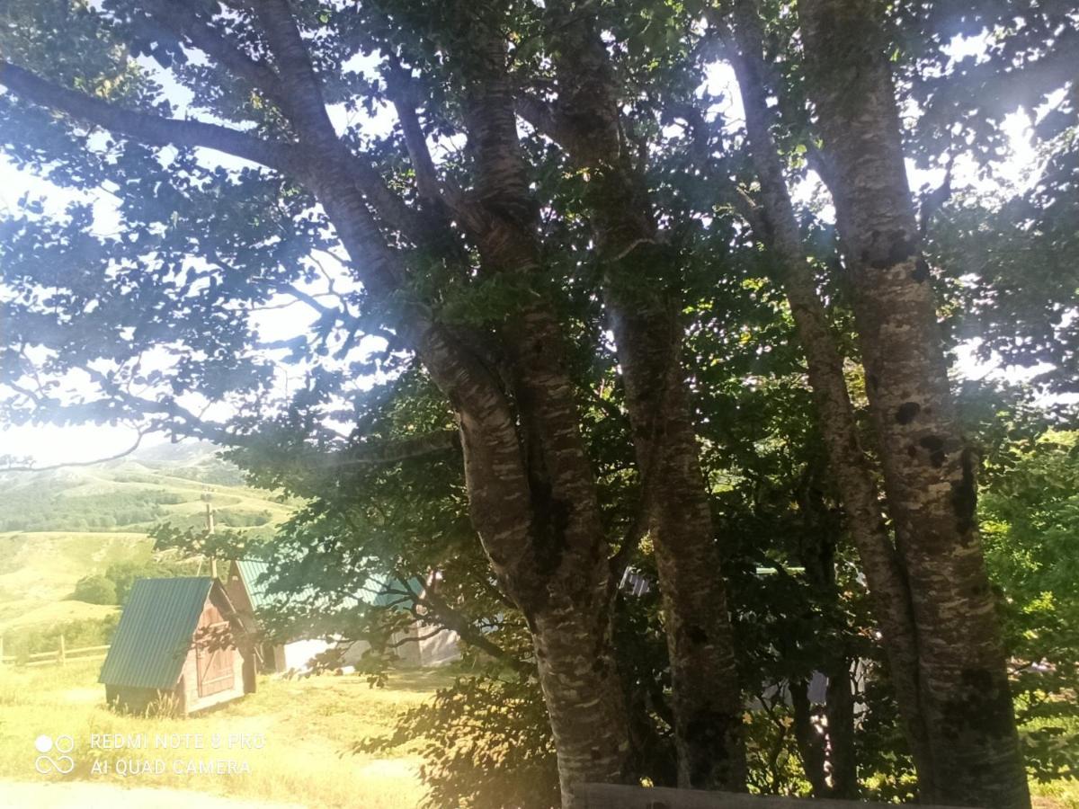 Katun Ljeljenak Ξενοδοχείο Plužine Εξωτερικό φωτογραφία