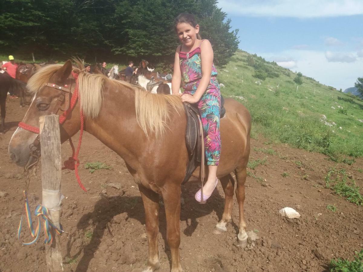 Katun Ljeljenak Ξενοδοχείο Plužine Εξωτερικό φωτογραφία