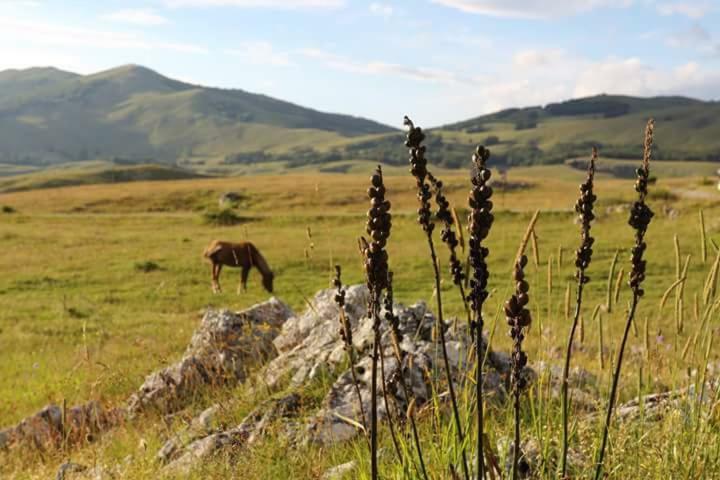 Katun Ljeljenak Ξενοδοχείο Plužine Εξωτερικό φωτογραφία