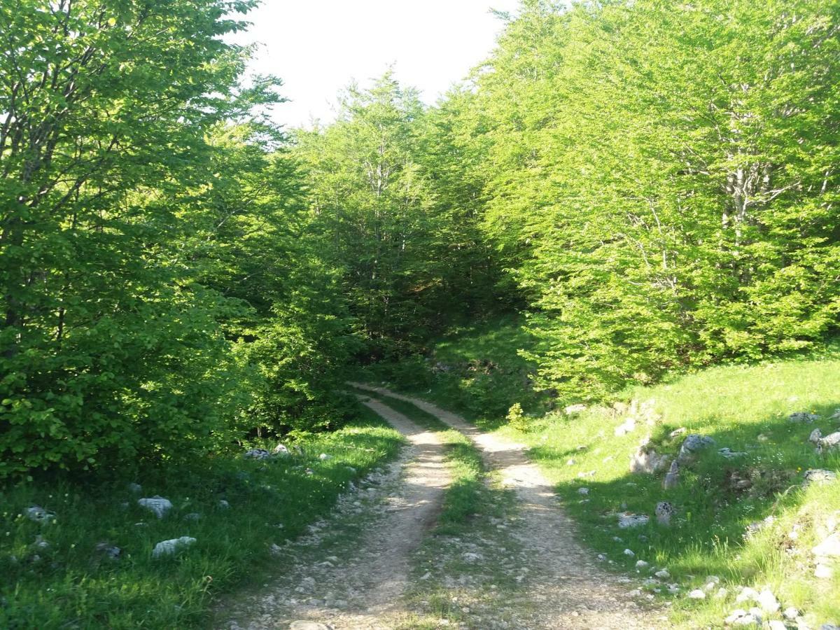 Katun Ljeljenak Ξενοδοχείο Plužine Εξωτερικό φωτογραφία
