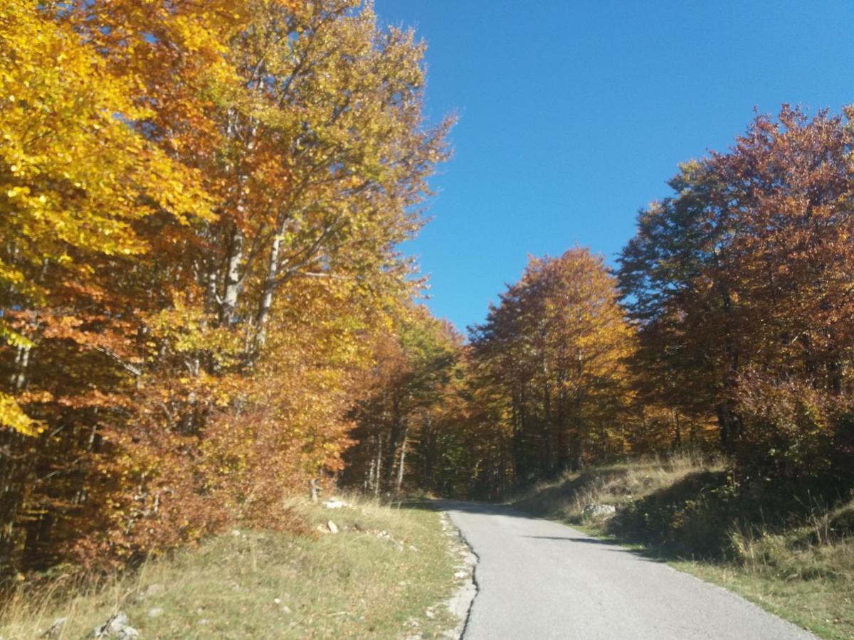 Katun Ljeljenak Ξενοδοχείο Plužine Εξωτερικό φωτογραφία