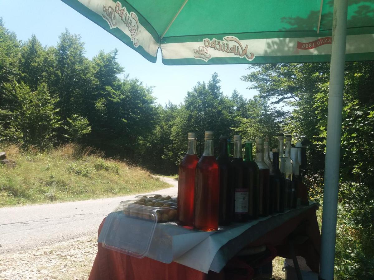 Katun Ljeljenak Ξενοδοχείο Plužine Εξωτερικό φωτογραφία