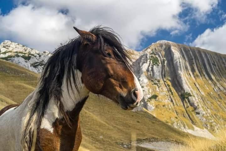 Katun Ljeljenak Ξενοδοχείο Plužine Εξωτερικό φωτογραφία